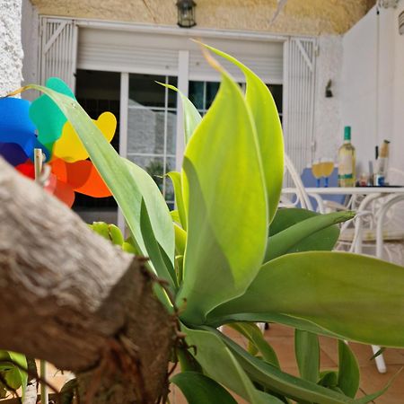 San Antonio - Beach, Pool And Terrace توريمولينوس المظهر الخارجي الصورة