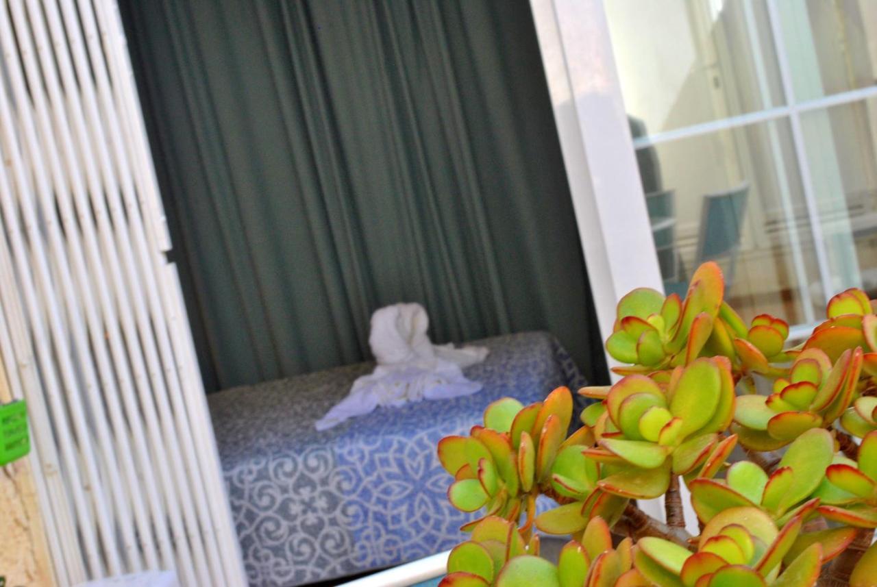 San Antonio - Beach, Pool And Terrace توريمولينوس المظهر الخارجي الصورة