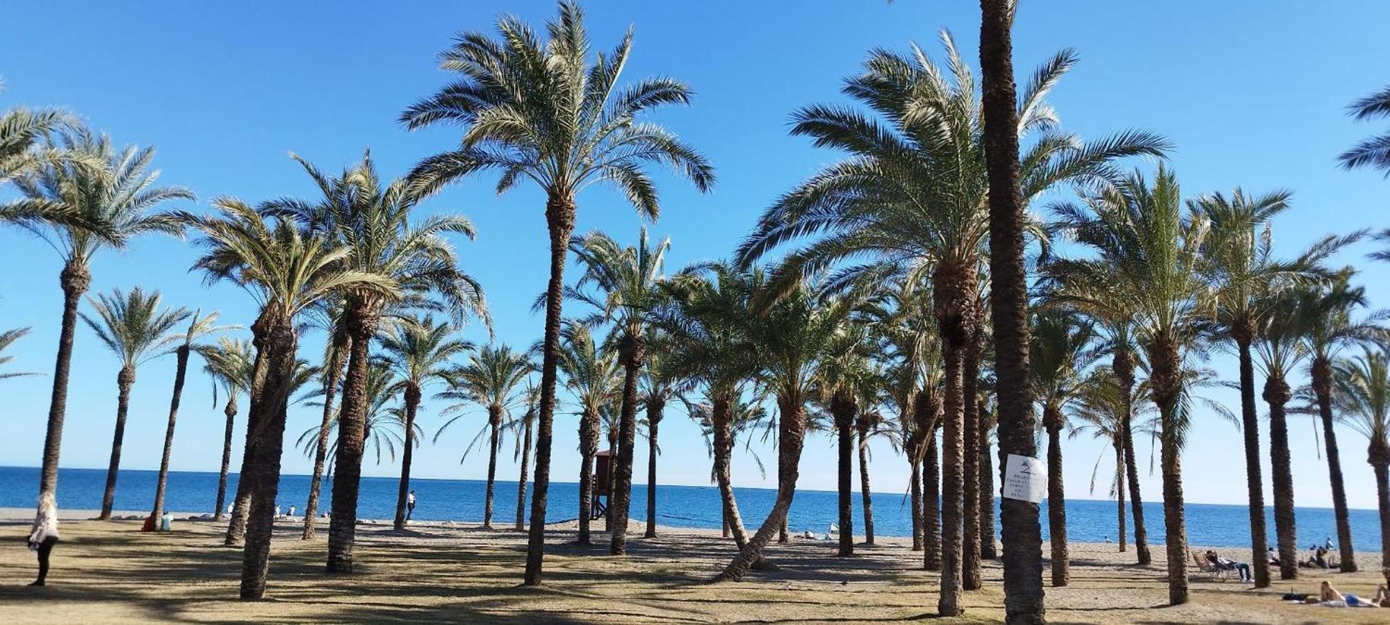 Torremolinos:Appartement Avec Piscine Et Terrasse المظهر الخارجي الصورة