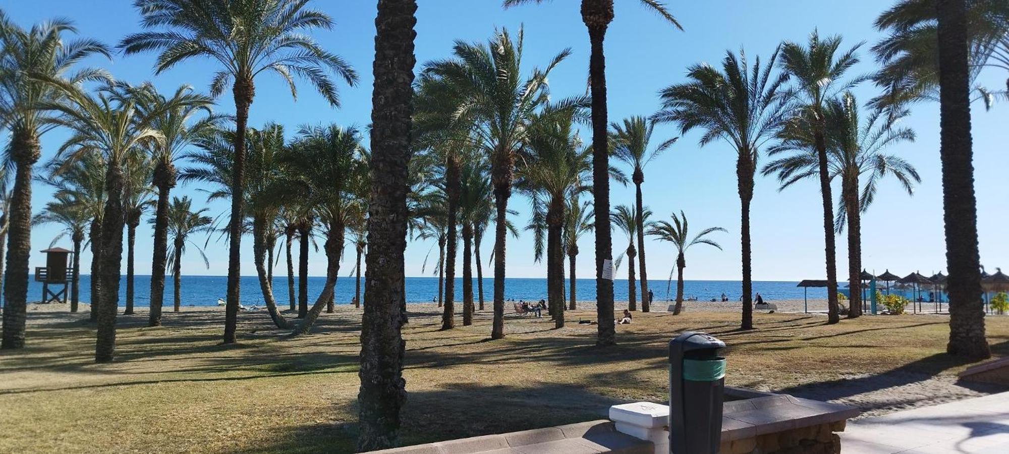 San Antonio - Beach, Pool And Terrace توريمولينوس المظهر الخارجي الصورة